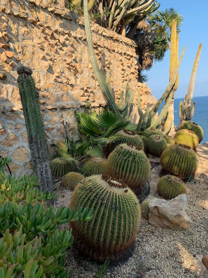 El Jardin Botanico Villa Luz アルテア エクステリア 写真