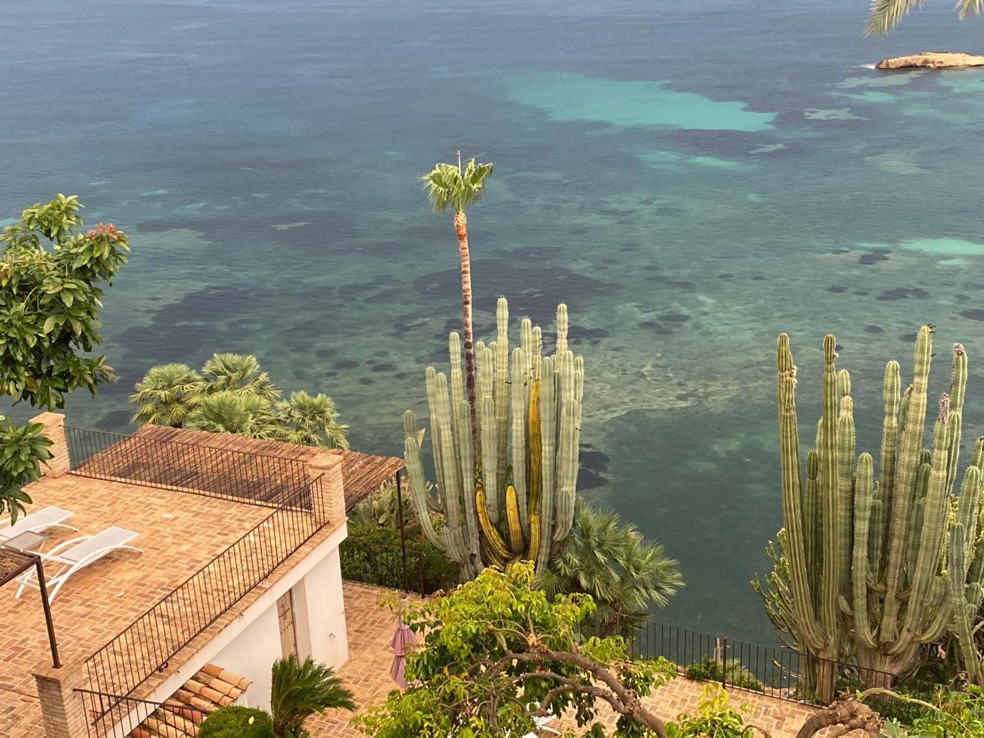 El Jardin Botanico Villa Luz アルテア エクステリア 写真